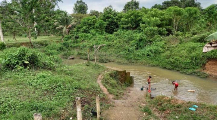 Community in Ecuador punished for trying to stop alleged palm oil pollution