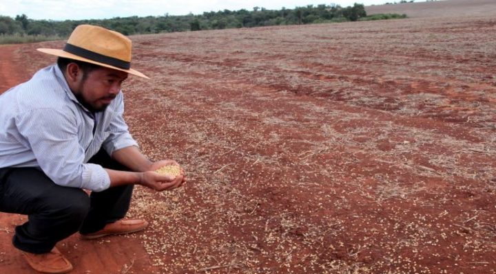 Paraguay’s drought hits biodiversity, Indigenous communities the hardest